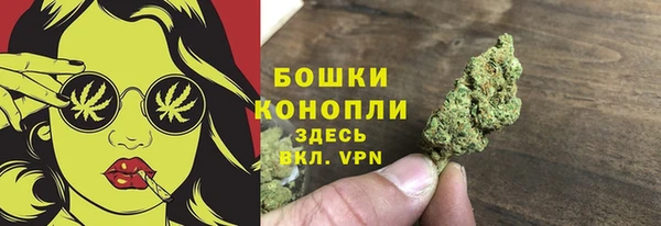 гашик Зеленокумск