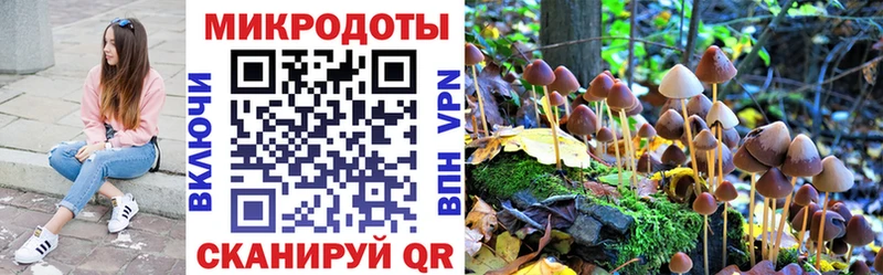 Псилоцибиновые грибы MAGIC MUSHROOMS  купить наркотик  omg   Зеленоградск 